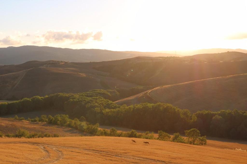 Agriturismo Fattoria Lischeto Volterra Dış mekan fotoğraf